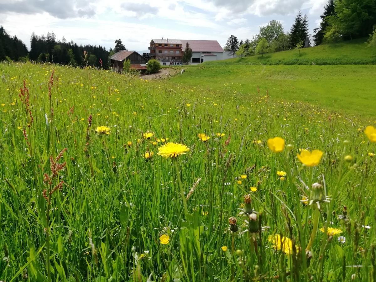 Stockreutehof Leilighet Sulzberg  Eksteriør bilde