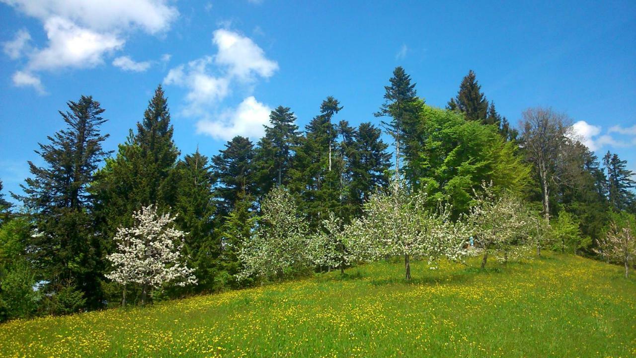 Stockreutehof Leilighet Sulzberg  Eksteriør bilde