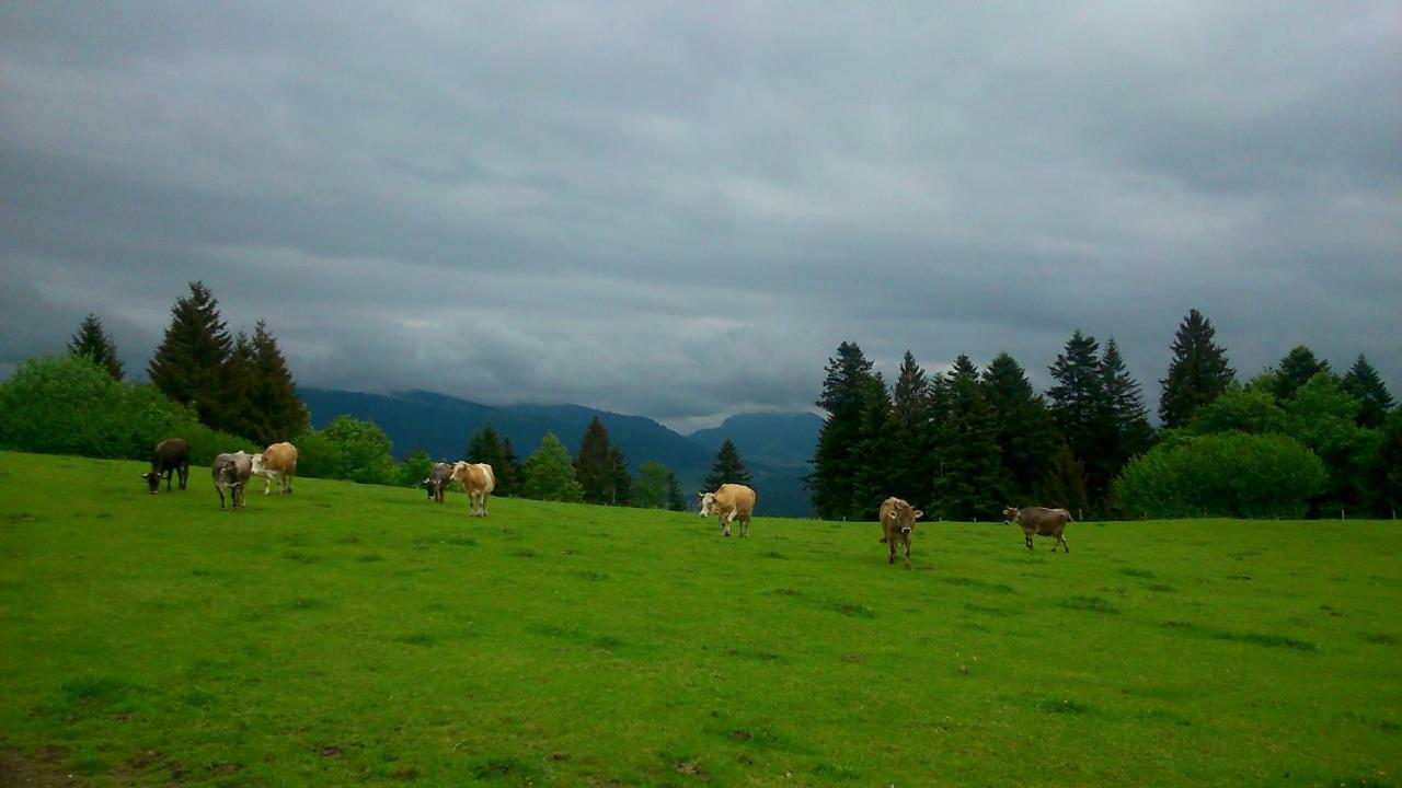 Stockreutehof Leilighet Sulzberg  Eksteriør bilde