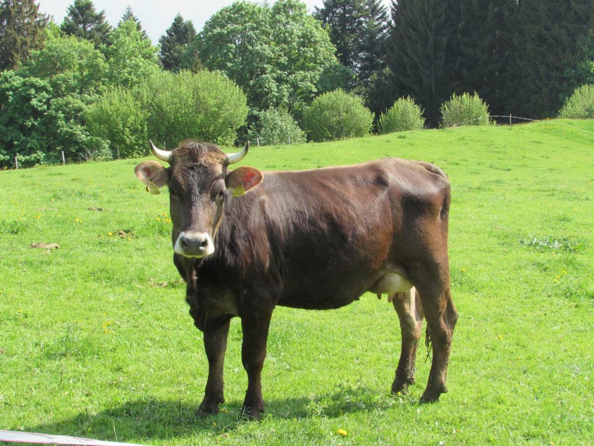 Stockreutehof Leilighet Sulzberg  Eksteriør bilde